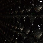 Cava bottles Cava bottles