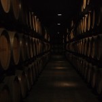 Oak barrels at Vallformosa Winery Oak barrels at Vallformosa Winery